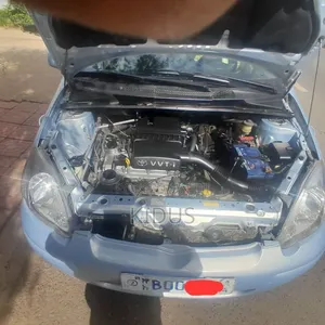 Toyota Vitz 2004 Blue