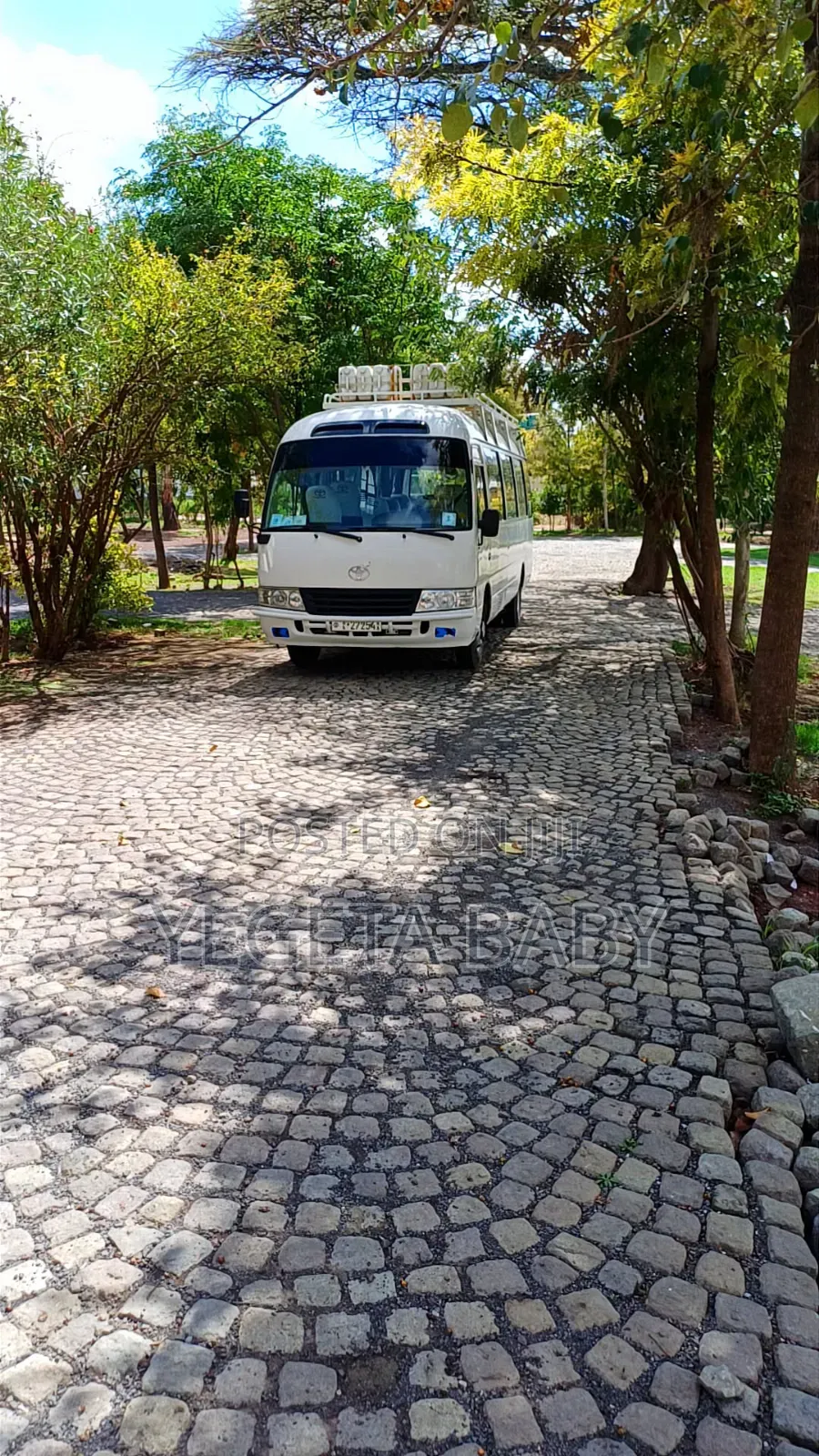Bus Rental for Any Purpose 22 Seats Per Bus