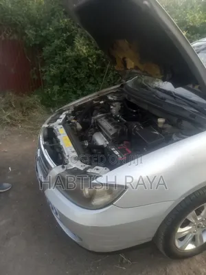 Lifan Abay 2011 Silver