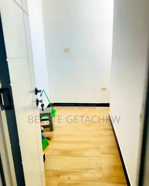 Furnished 2bdrm Apartment in Bole-24, Luxury for sale