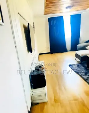 Furnished 2bdrm Apartment in Bole-24, Luxury for sale