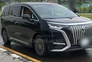 Denza N9 2.0 Hybrid AWD 2025 Black