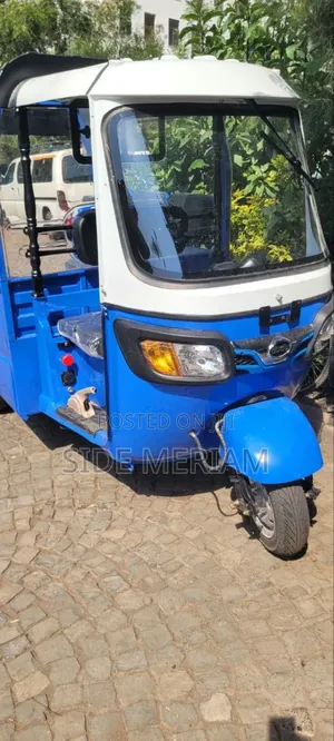 New Bajaj Avenger 220 Street 2025 Blue