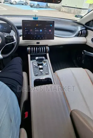 BYD Yuan Plus 2025 Gray