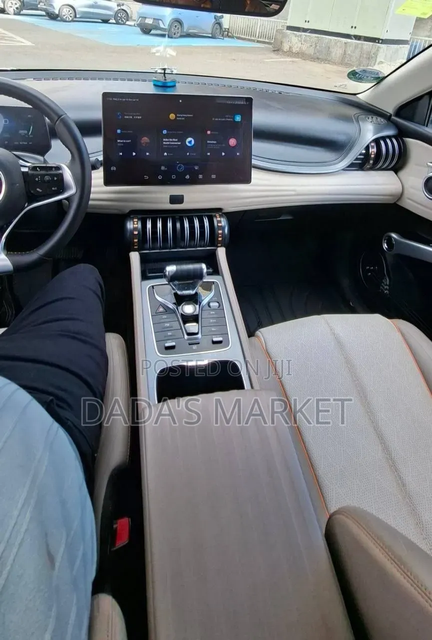 BYD Yuan Plus 2025 Gray