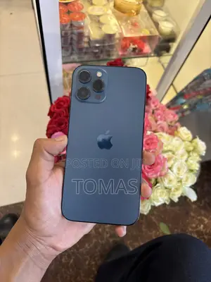 Apple iPhone 12 Pro Max 128 GB Blue