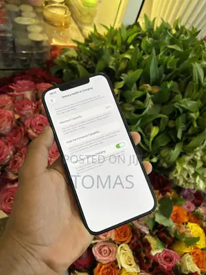 Apple iPhone 12 Pro Max 128 GB Blue