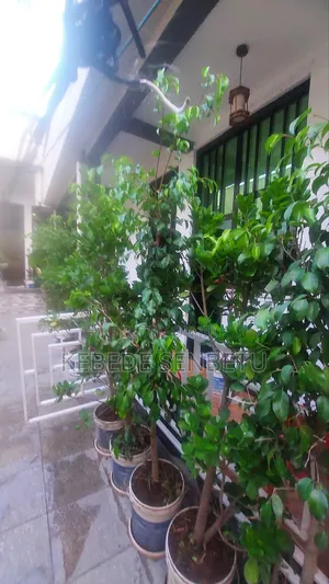 3bdrm House in Oromia, East Shewa for sale