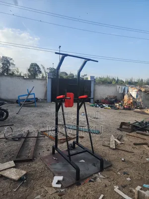 Pull Up Dip.Push Up And Abs Station