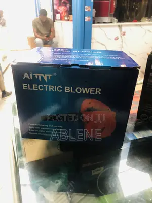Blower (Aint Electric Blower)