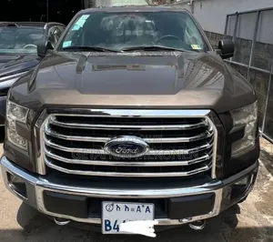 Ford F-150 2016 Brown