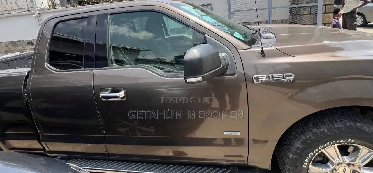 Ford F-150 2016 Brown