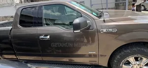 Ford F-150 2016 Brown