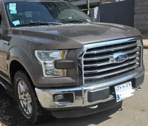 Ford F-150 2016 Brown