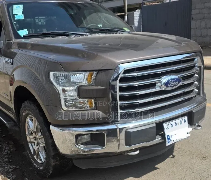 Ford F-150 2016 Brown