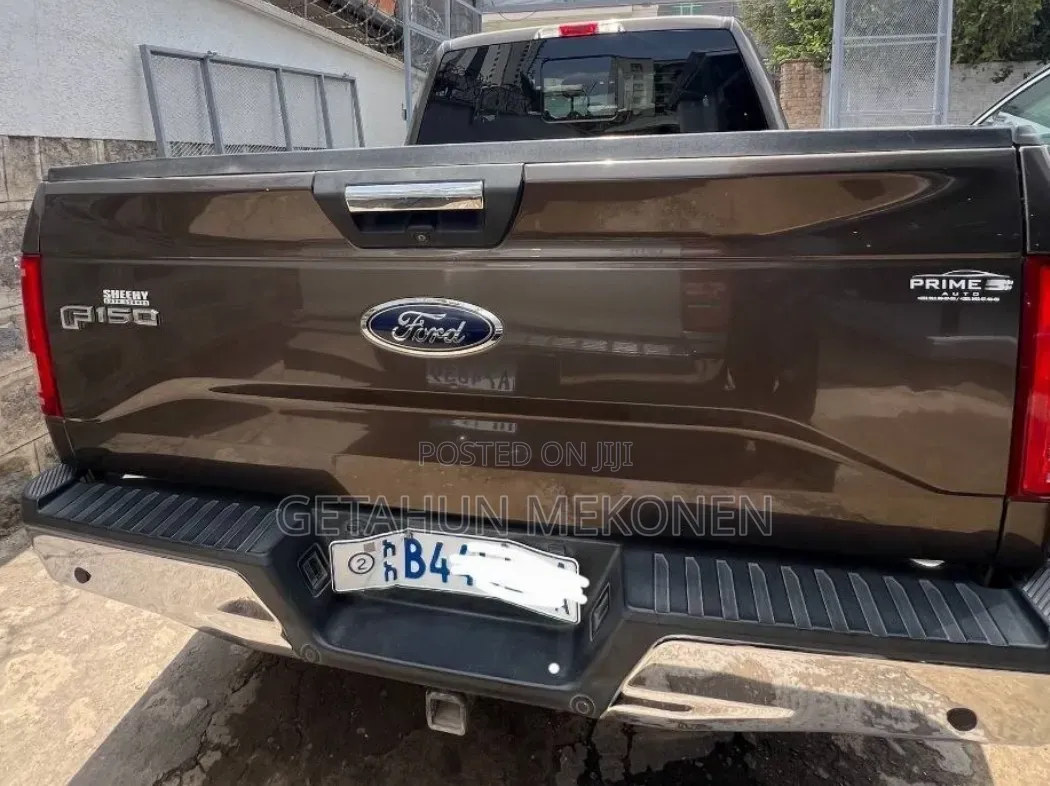 Ford F-150 2016 Brown