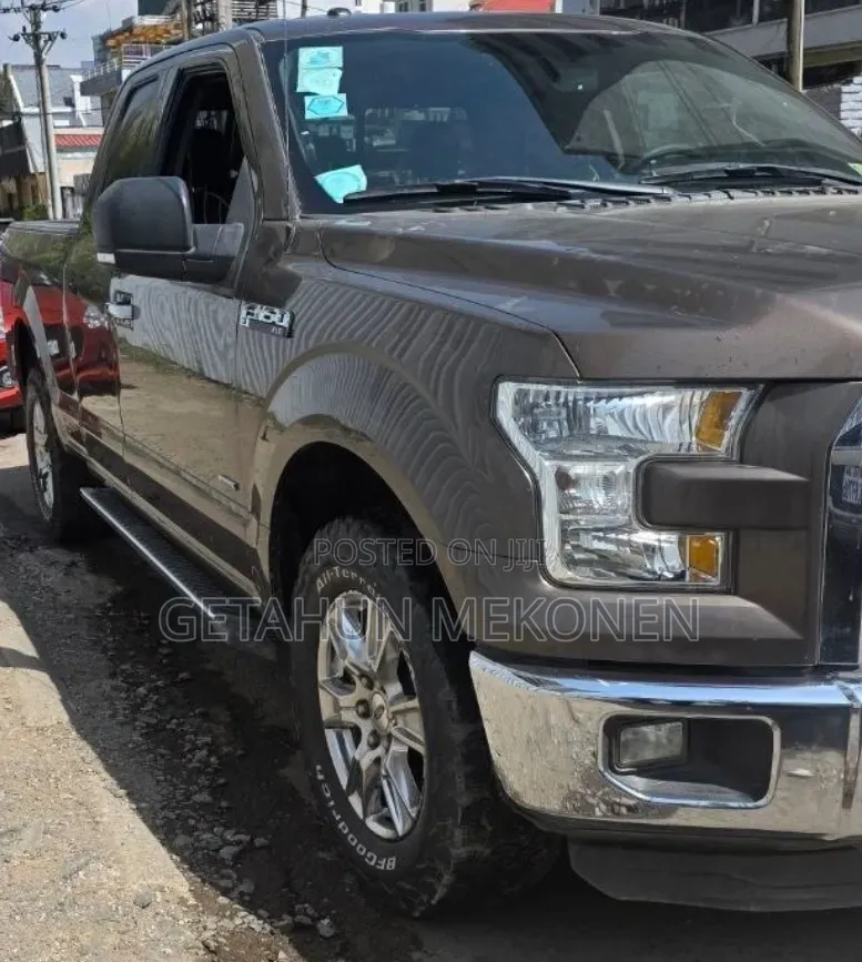 Ford F-150 2016 Brown