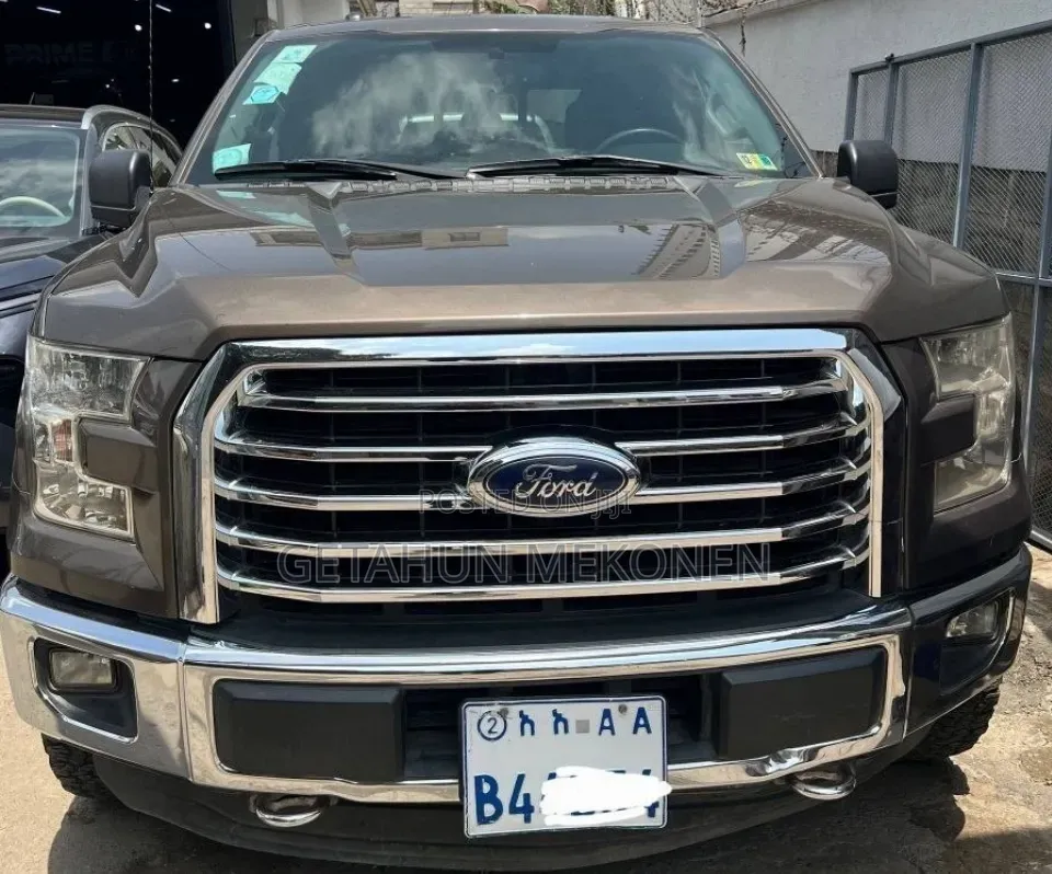 Ford F-150 2016 Brown