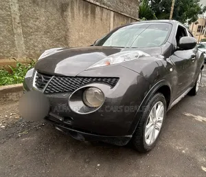 Nissan Juke 2012 Brown