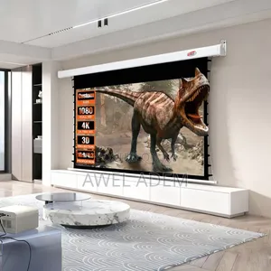 Motorized Projector Screen