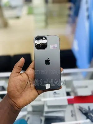 Apple iPhone 13 Pro Max 256 GB Gray