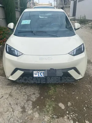 BYD Seagull 2024 White
