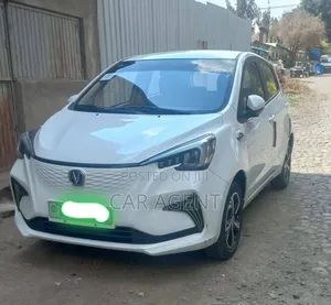 Changan BenBen E-Star 2023 White