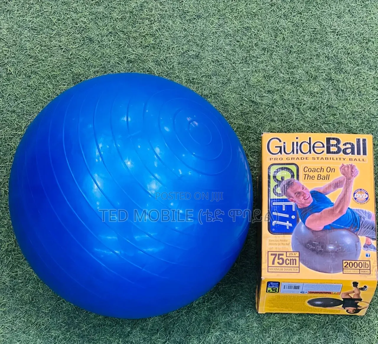 Exercise Ball (Yoga Ball)