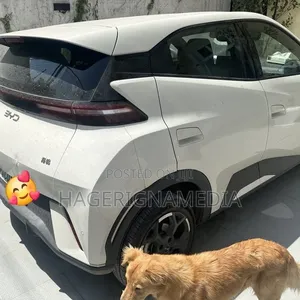 BYD Seagull 2025 White