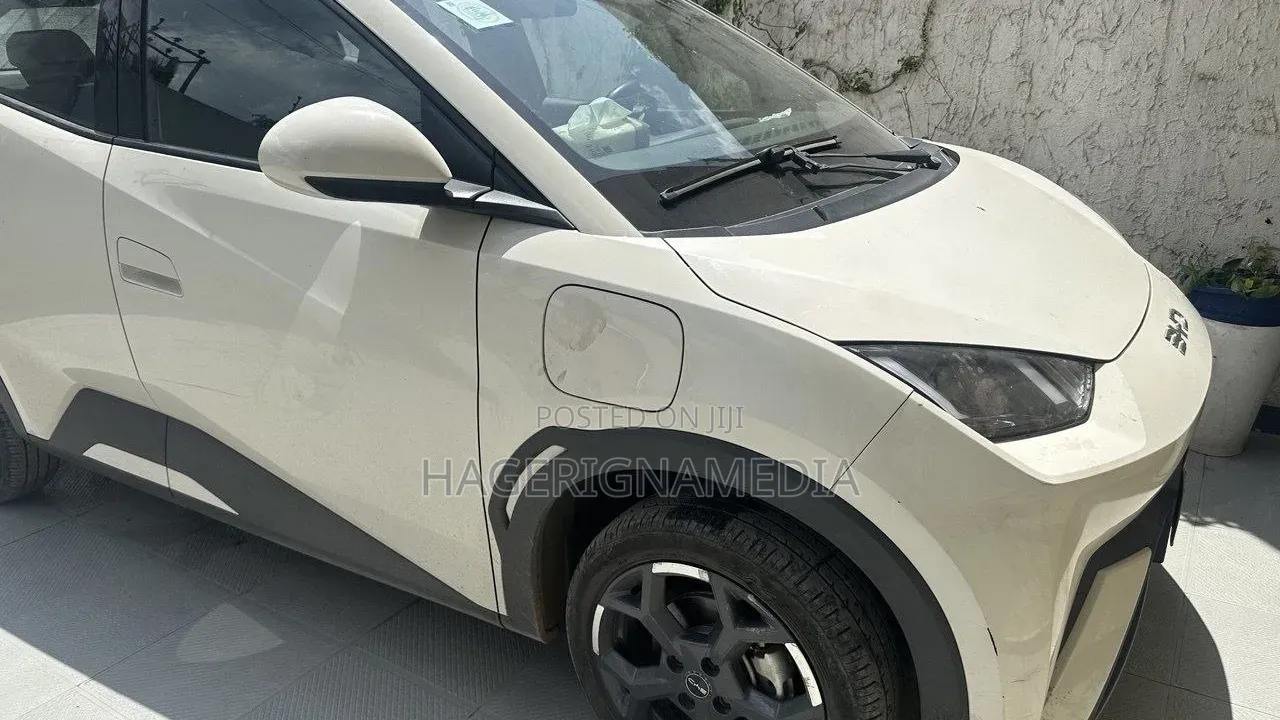 BYD Seagull 2025 White