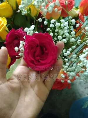 የተፈጥሮ አበባ እናስረክባለን