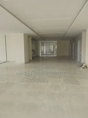 Ceiling and Partition Interior Finishing Work