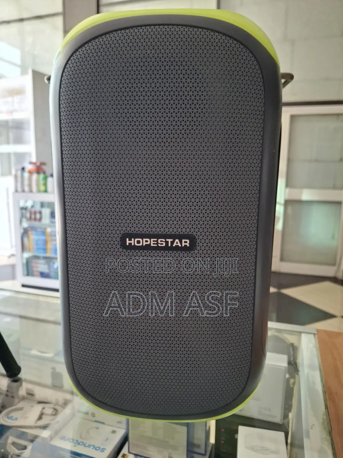 Hopestar Party 300 Speaker