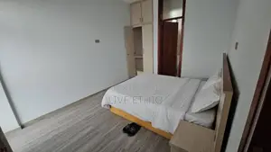 Furnished 1bdrm Apartment in Bole for rent