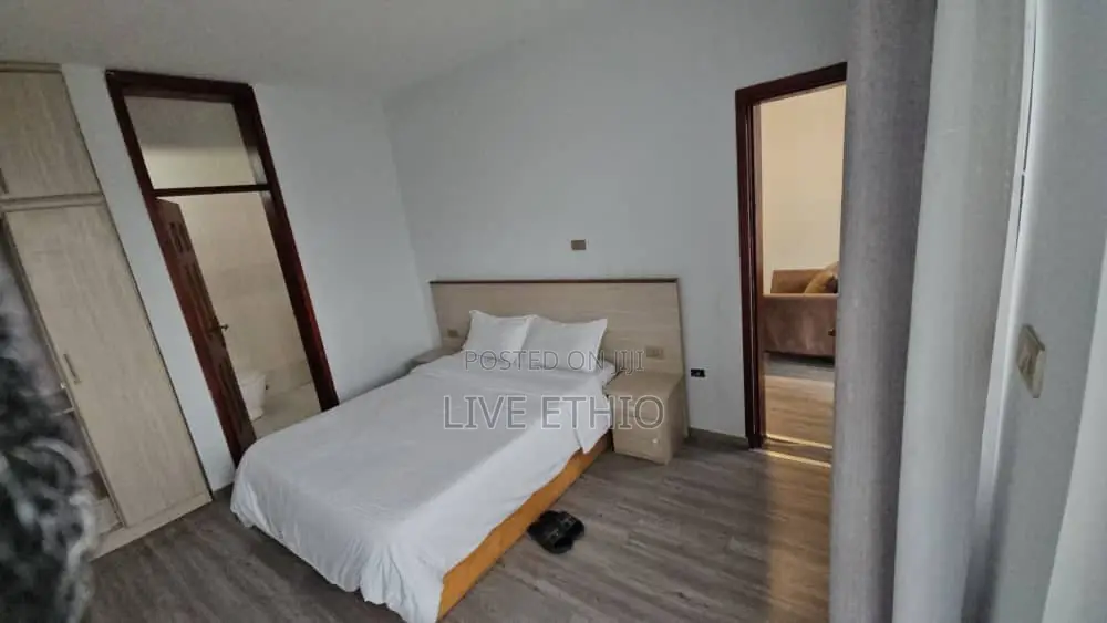 Furnished 1bdrm Apartment in Bole for rent