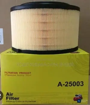 Air Filter
