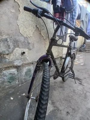 Used Bicycle