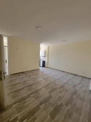 Furnished 1bdrm Apartment in Lideta for sale