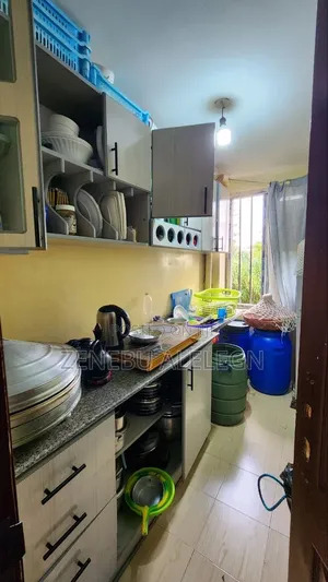 Furnished 1bdrm Condo in Summit, Bole for sale