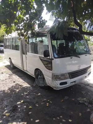 Toyota Coaster 2007 White