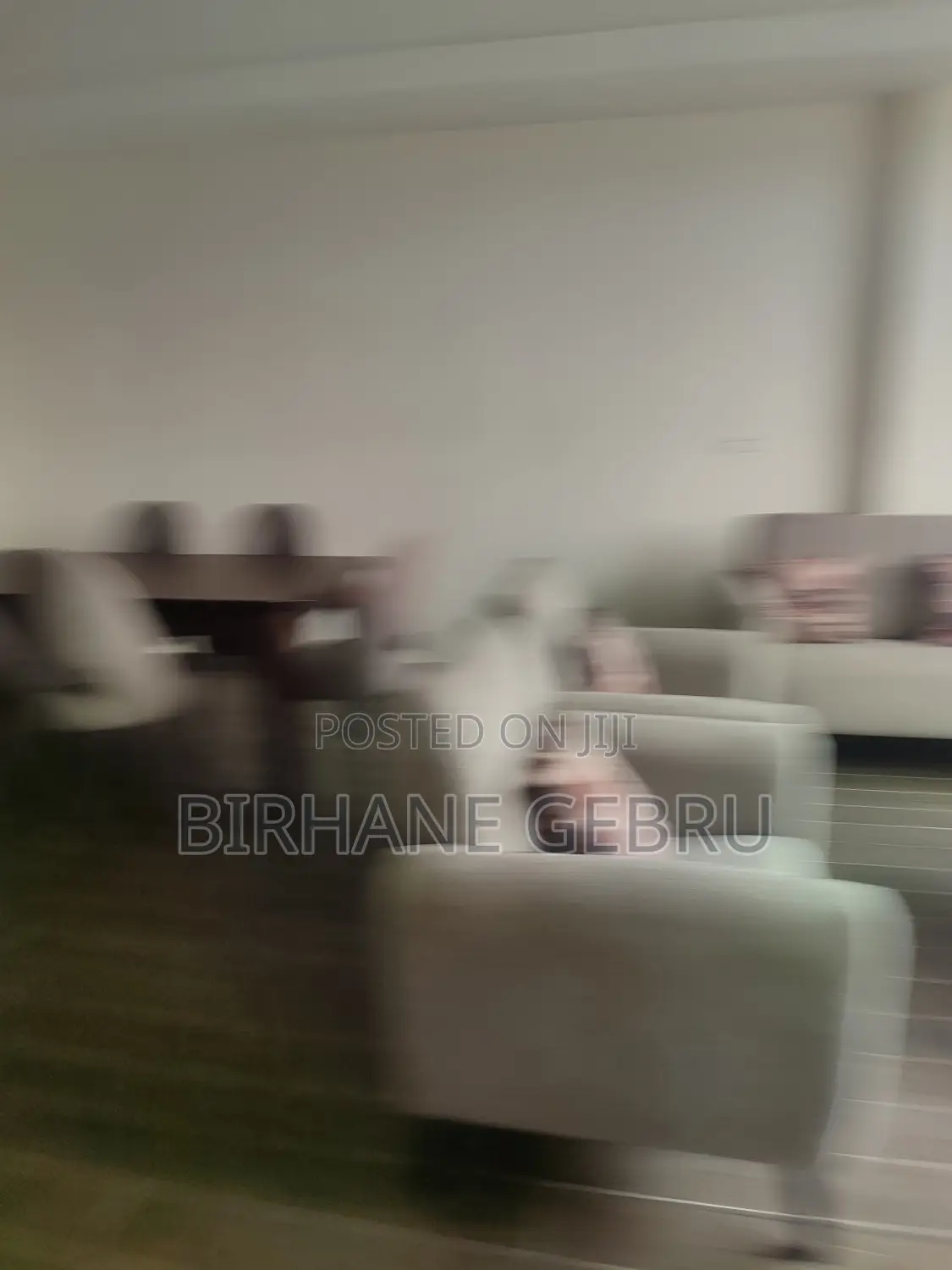 Furnished 2bdrm Apartment in Luxury Fernished, Lideta for rent