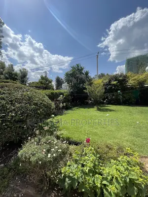 Furnished 3bdrm Villa in Bole for rent