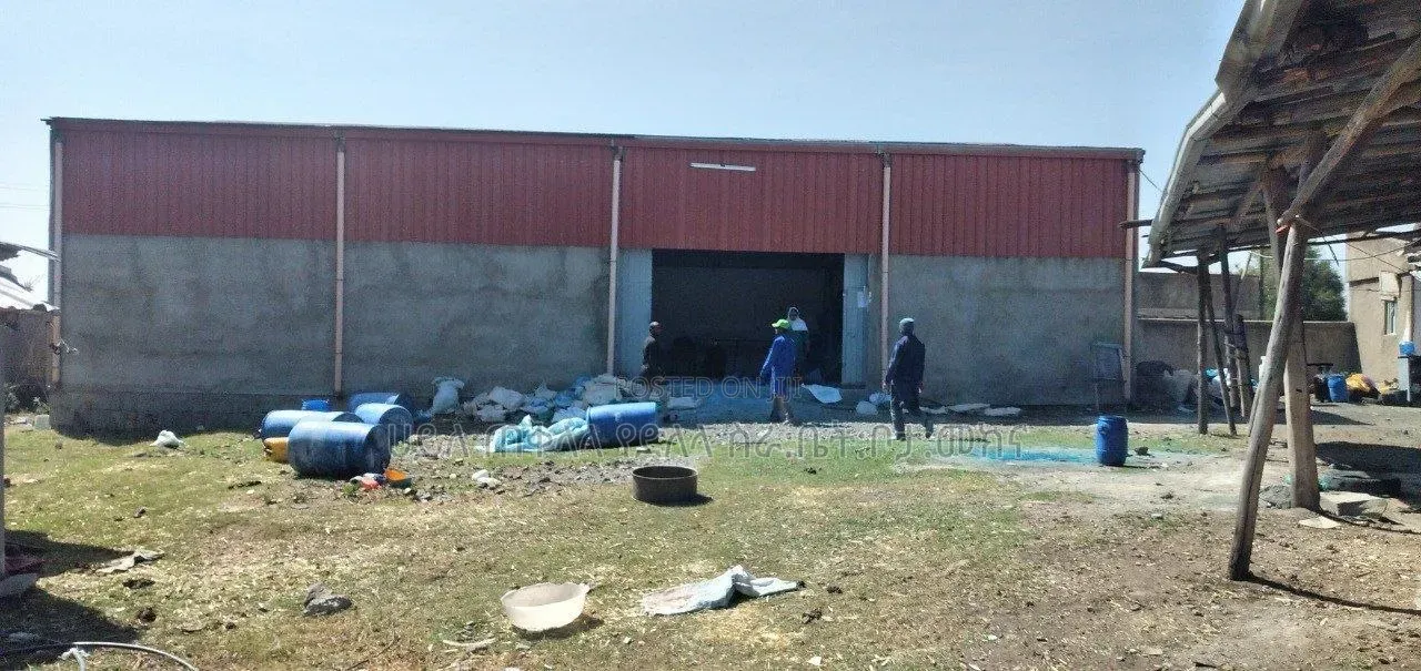1800 M2 Ware House for Sale Sendafa City