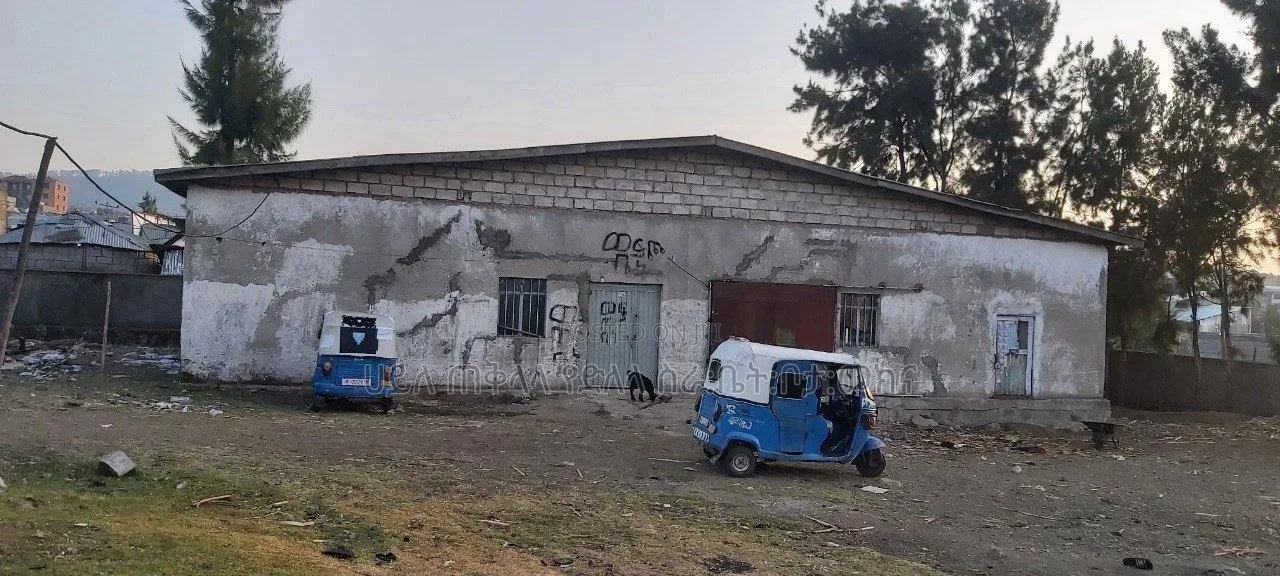 1800 M2 Ware House for Sale Sendafa City