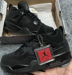 Air Jordan 4 Black Cat