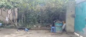 496 M2 Land for Sale – Kotebe Kidane Mihret, Asphalt Road Access