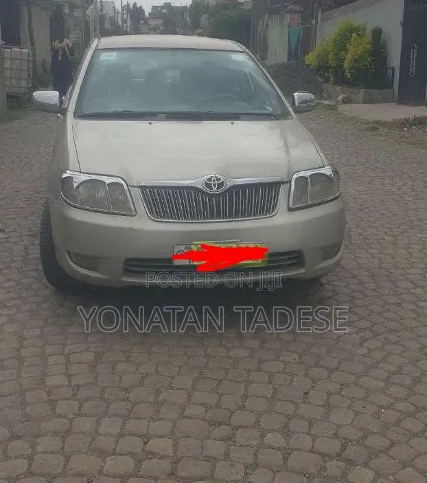 Corolla for Rent
