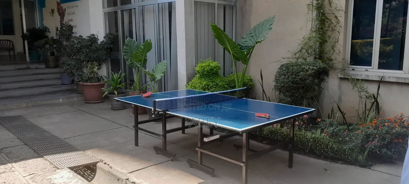 Table Tannis