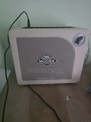 Electric/Bass Amplifier