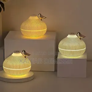 Onion Shape Humidifier